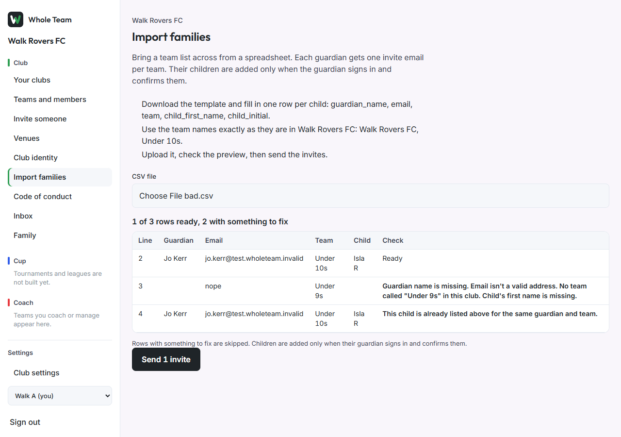 The import preview, with rows to fix